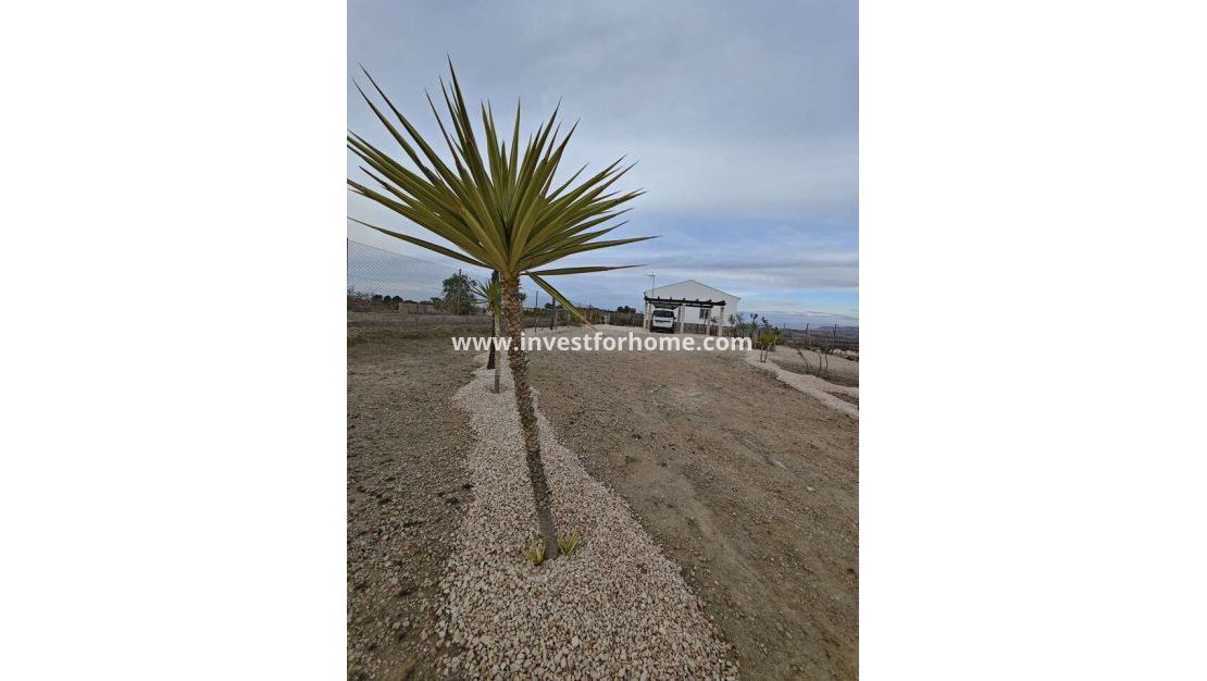 Reventa - Chalet - Fortuna - Inland