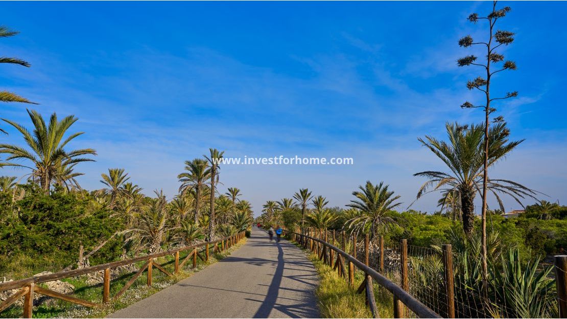 Reventa - Chalet - Guardamar del Segura - El Moncayo