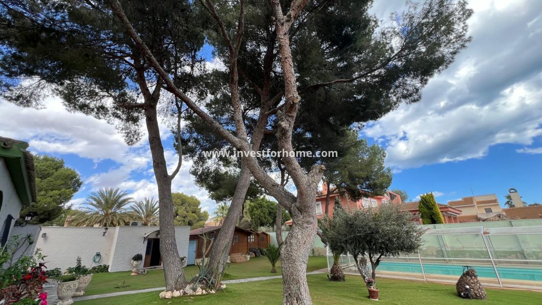 Reventa - Chalet - Orihuela Costa - Costa Blanca