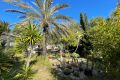 Reventa - Chalet - Orihuela Costa - Costa Blanca