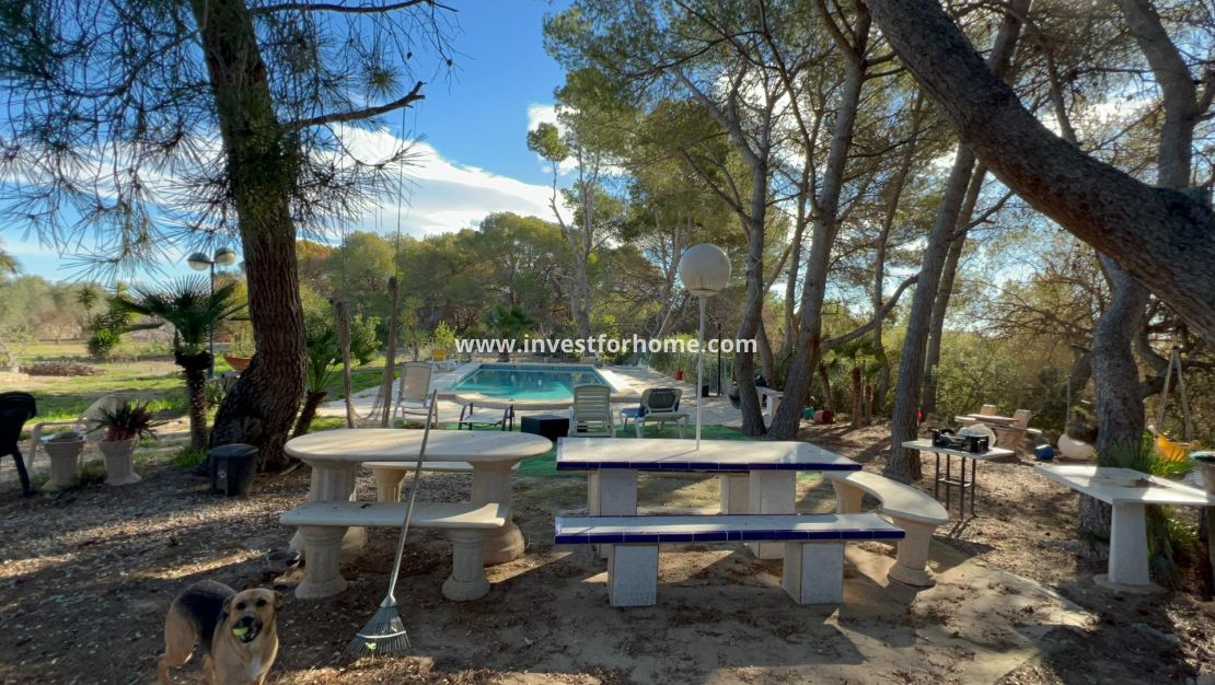 Reventa - Chalet - Orihuela Costa - Dehesa De Campoamor