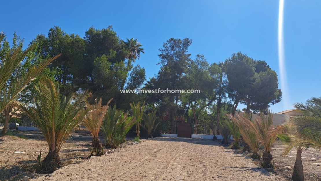 Reventa - Chalet - Orihuela Costa - Desamparados-hurchillo-torremendo