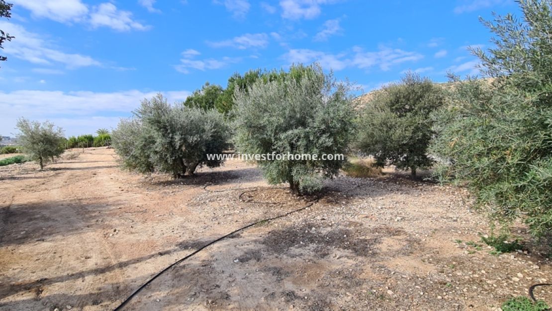 Reventa - Chalet - Orihuela Costa - Inland