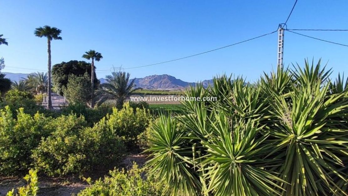 Reventa - Chalet - Orihuela Costa - Inland