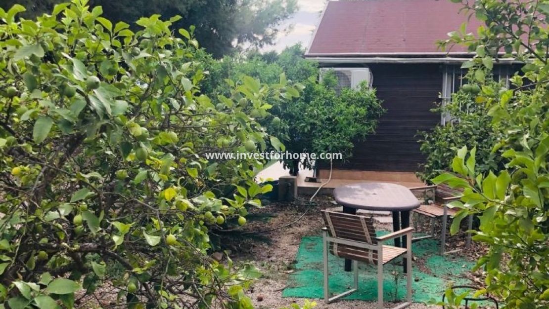 Reventa - Chalet - Orihuela Costa - Inland