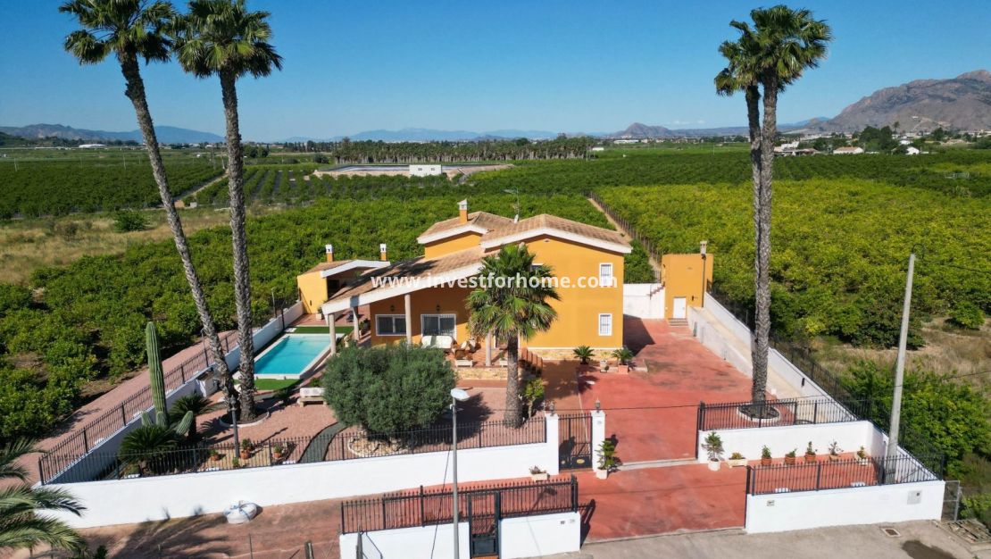Reventa - Chalet - Orihuela Costa - Inland