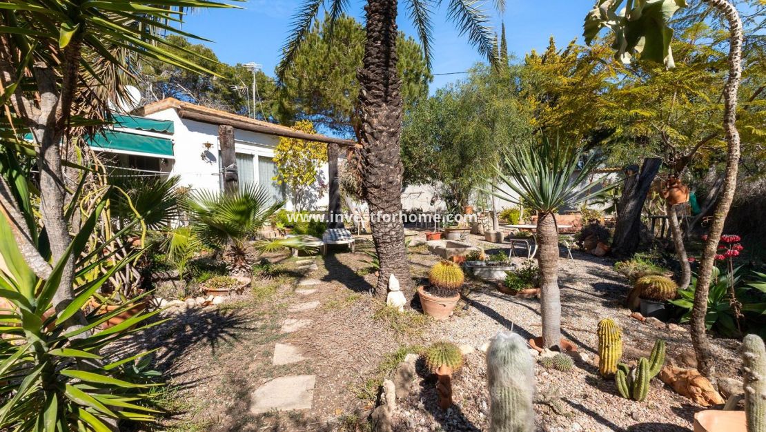 Reventa - Chalet - Orihuela Costa - Lomas De Cabo Roig-los Dolses