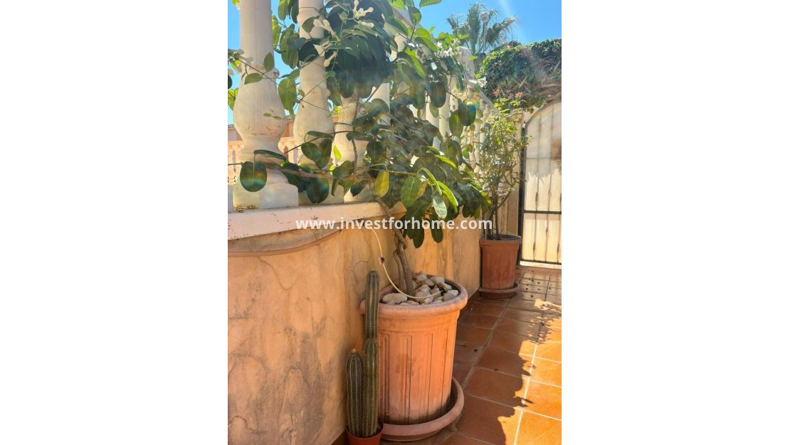 Reventa - Chalet - Orihuela Costa - Lomas De Cabo Roig