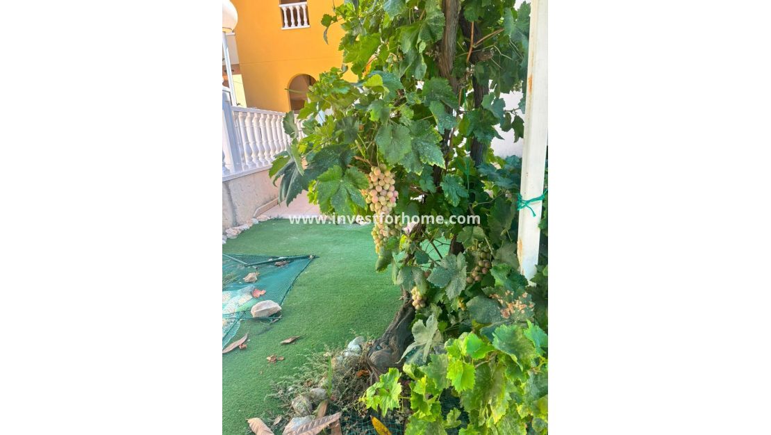 Reventa - Chalet - Orihuela Costa - Lomas De Cabo Roig