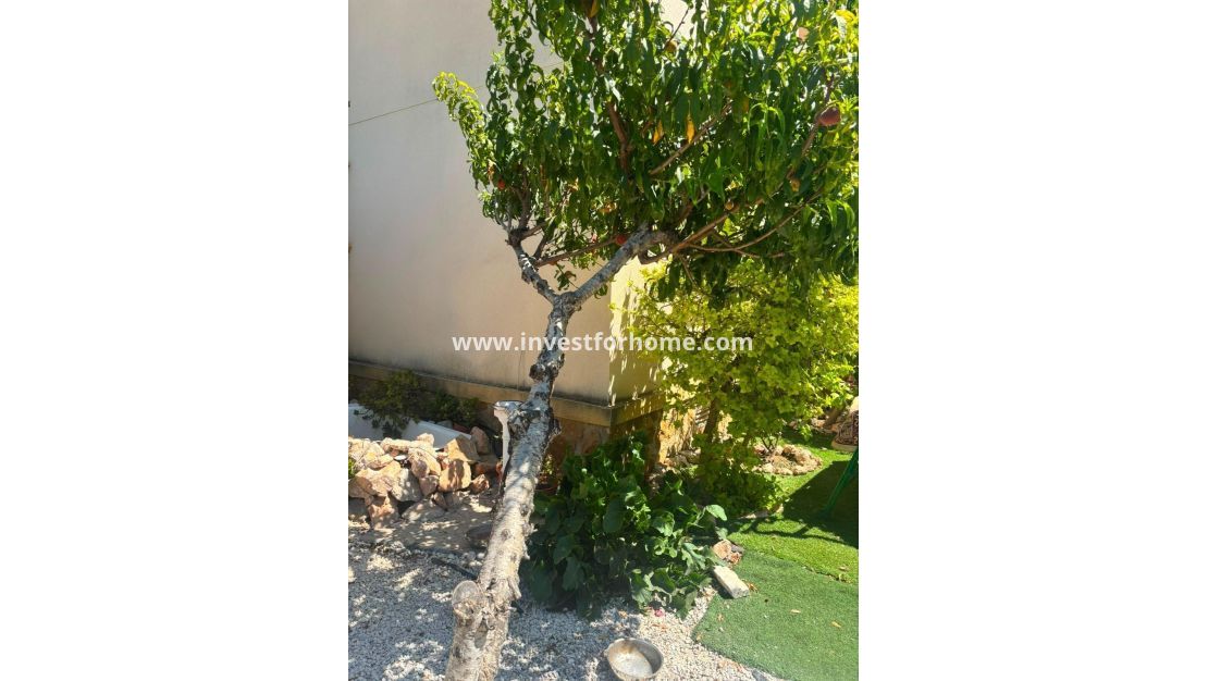 Reventa - Chalet - Orihuela Costa - Lomas De Cabo Roig