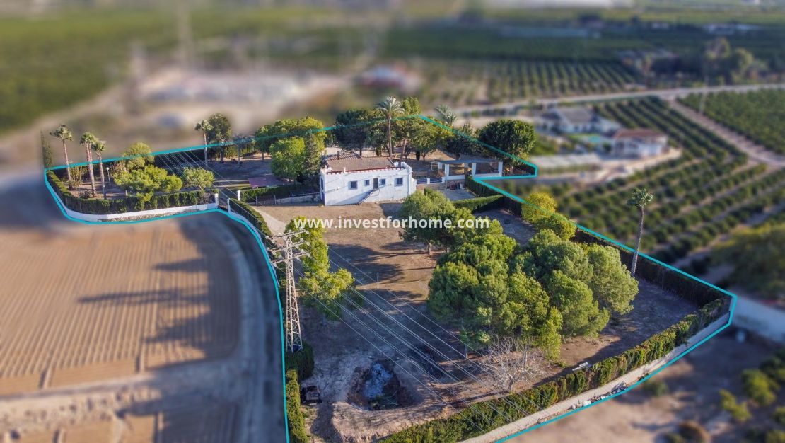 Reventa - Chalet - Orihuela Costa - Orihuela