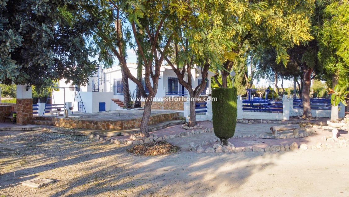 Reventa - Chalet - Orihuela Costa - Orihuela