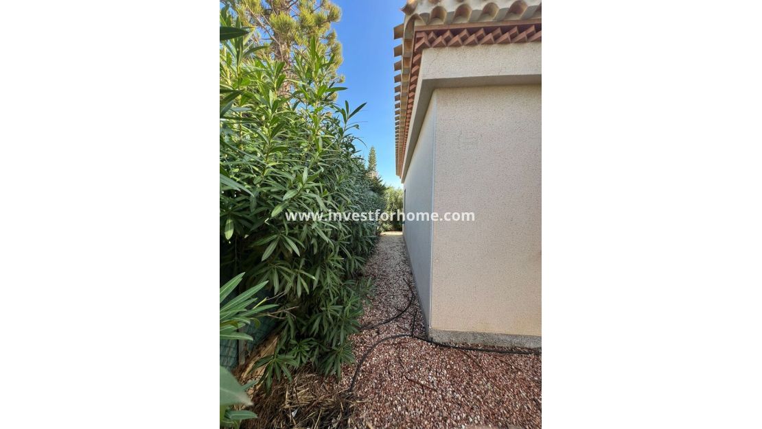 Reventa - Chalet - Orihuela Costa - Playa Flamenca