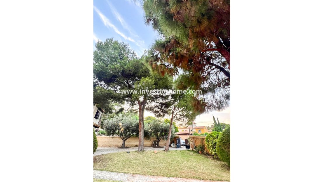 Reventa - Chalet - Orihuela Costa - Punta Prima