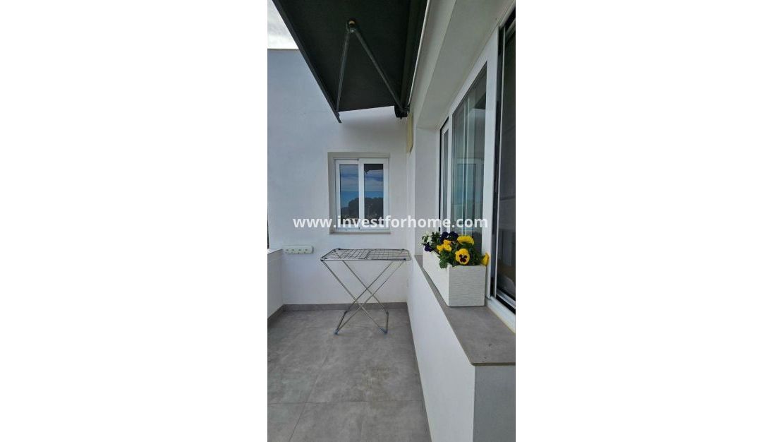 Reventa - Chalet - Orihuela Costa - Urb. Montepinar