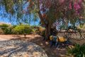Reventa - Chalet - Rojales - Costa Blanca