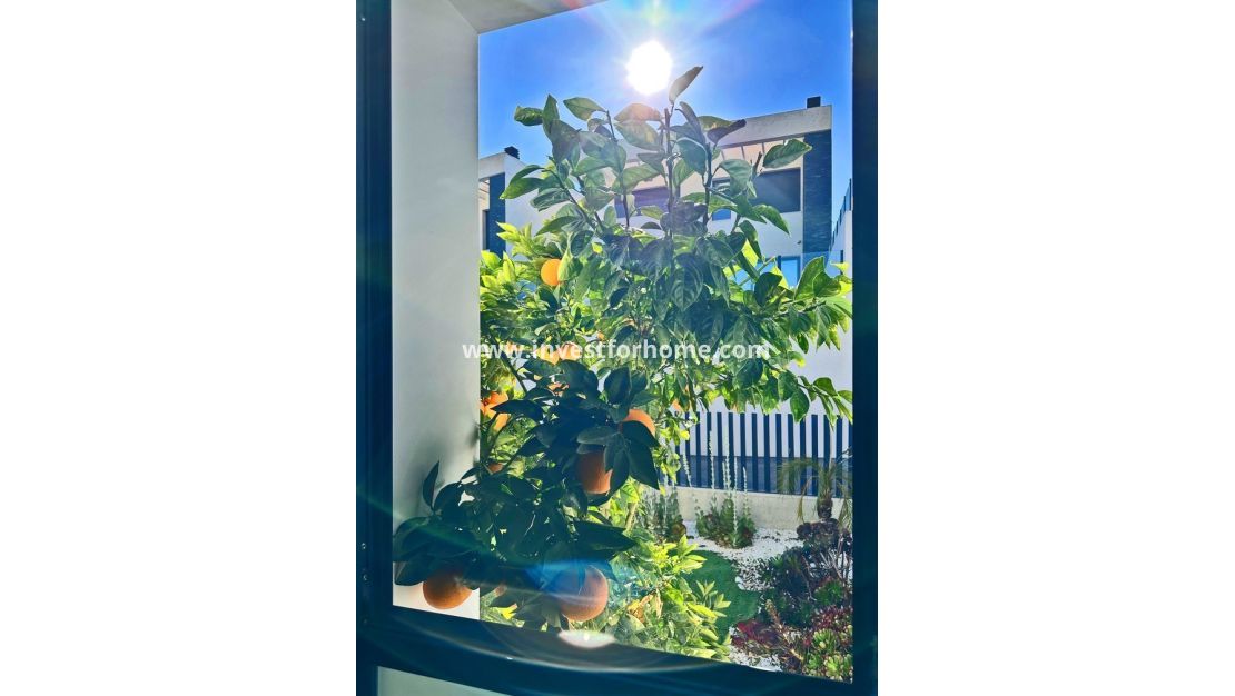 Reventa - Chalet - Rojales - Inland