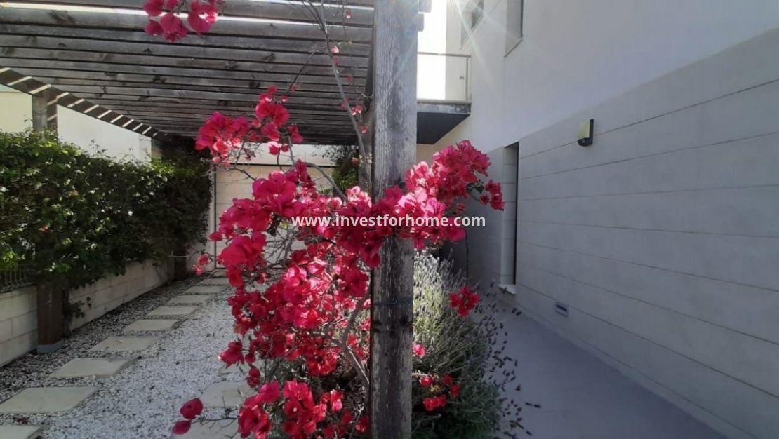 Reventa - Chalet - San Javier - La Ribera