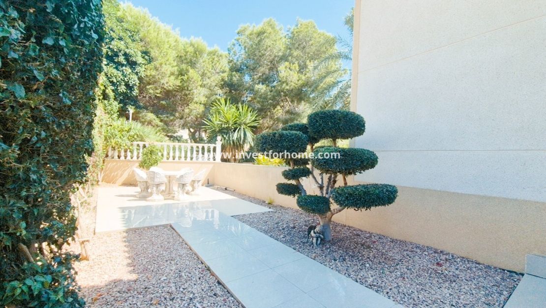 Reventa - Chalet - San Miguel de Salinas - El Galán