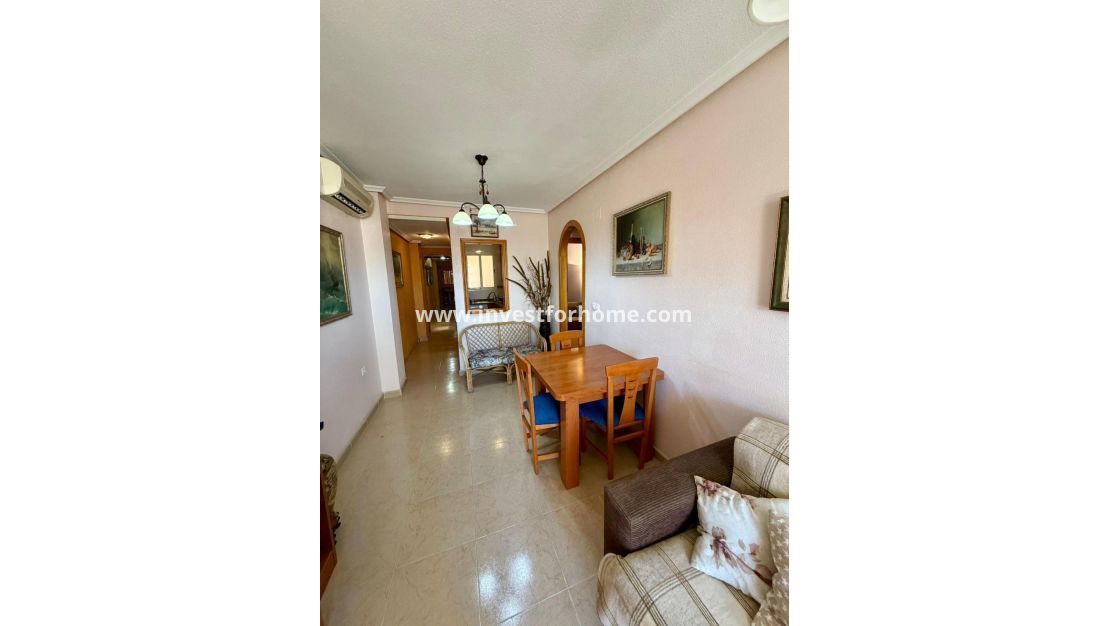 Reventa - Chalet - Torrevieja - Centro