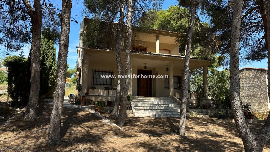 Reventa - Chalet - Torrevieja - Costa Blanca