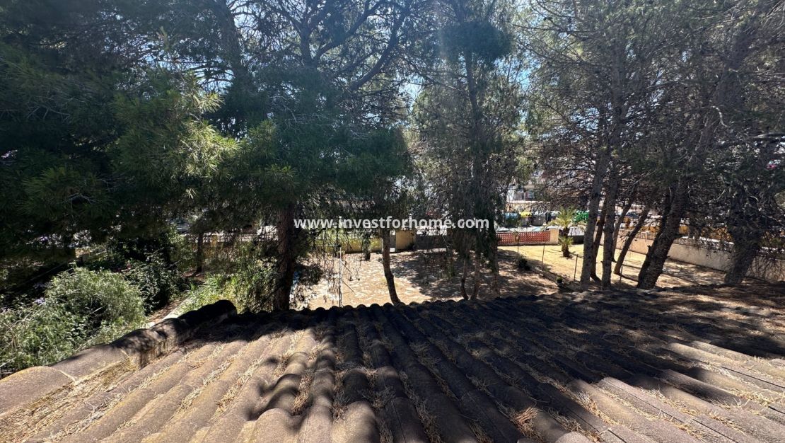 Reventa - Chalet - Torrevieja - Costa Blanca