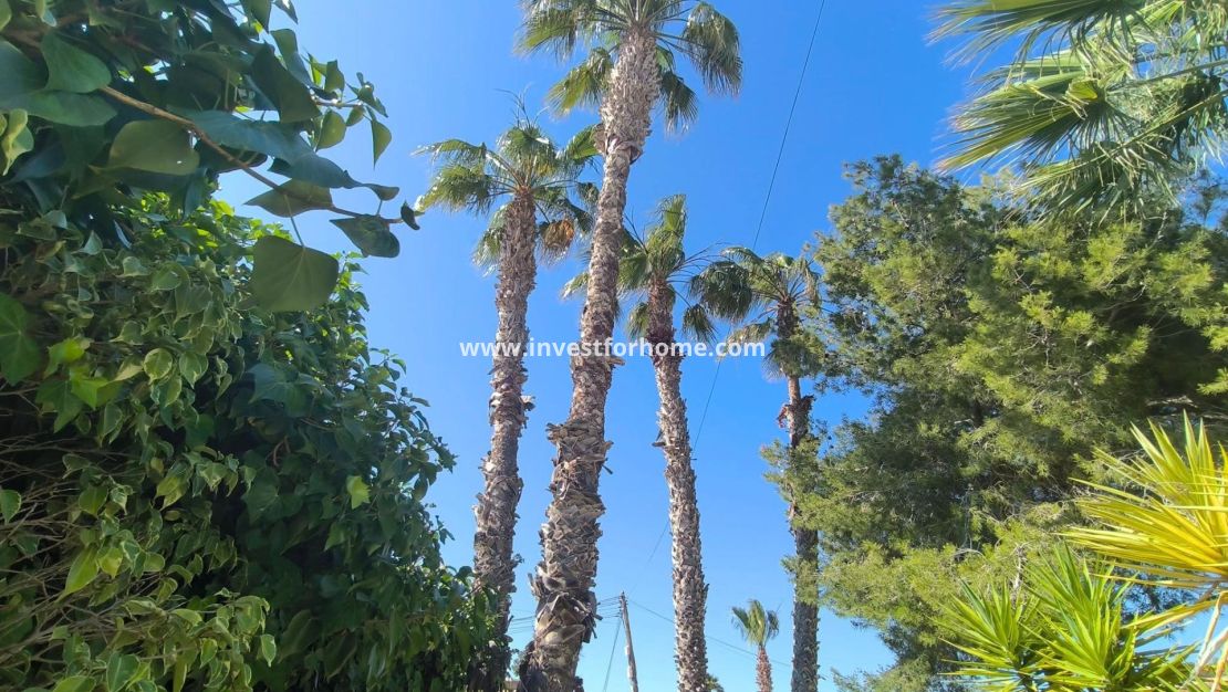 Reventa - Chalet - Torrevieja - La Siesta-El Chaparral