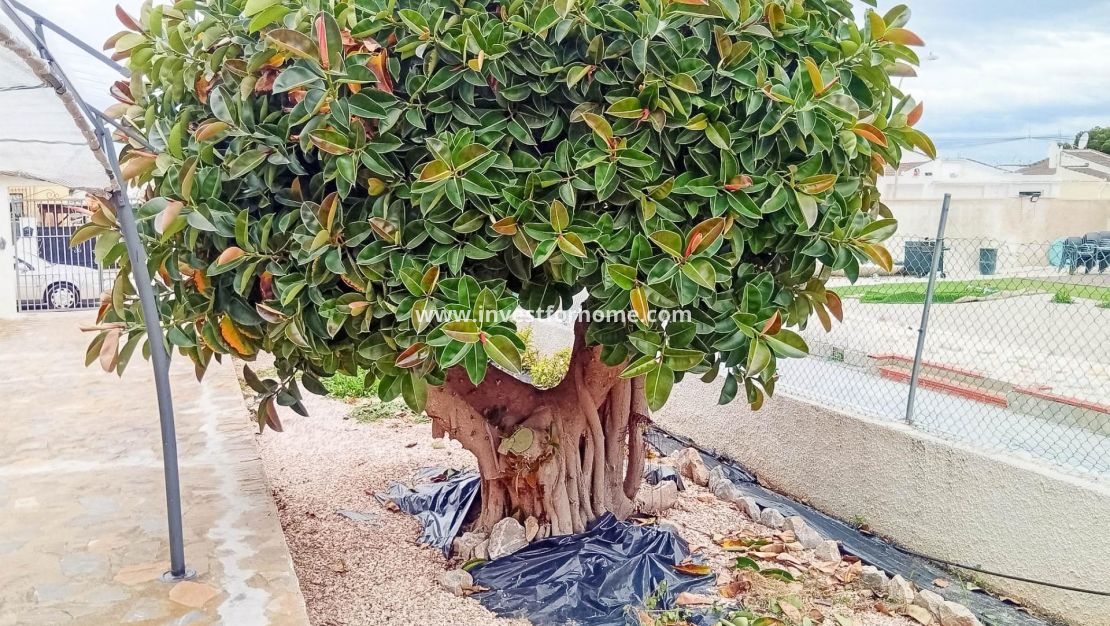 Reventa - Chalet - Torrevieja - La Siesta - El Salado - Torreta