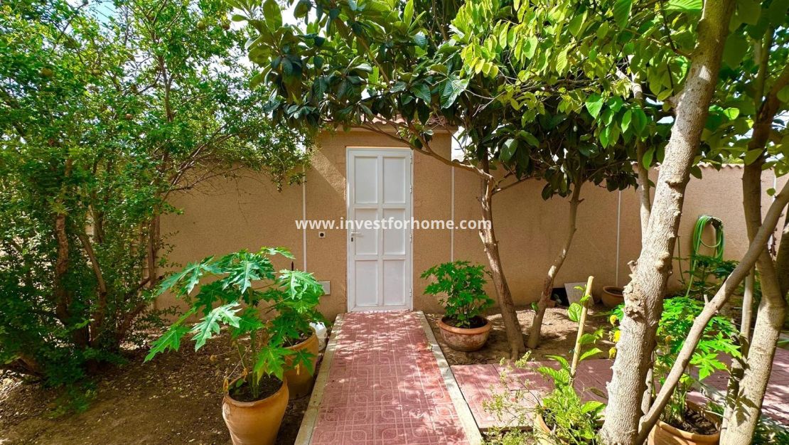 Reventa - Chalet - Torrevieja - Los Balcones - Los Altos Del Edén