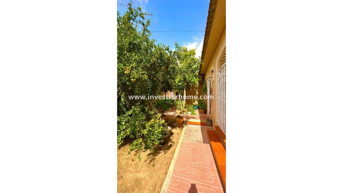 Reventa - Chalet - Torrevieja - Los Balcones - Los Altos Del Edén