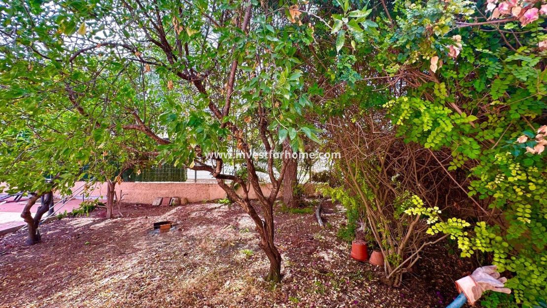 Reventa - Chalet - Torrevieja - Los Balcones - Los Altos Del Edén