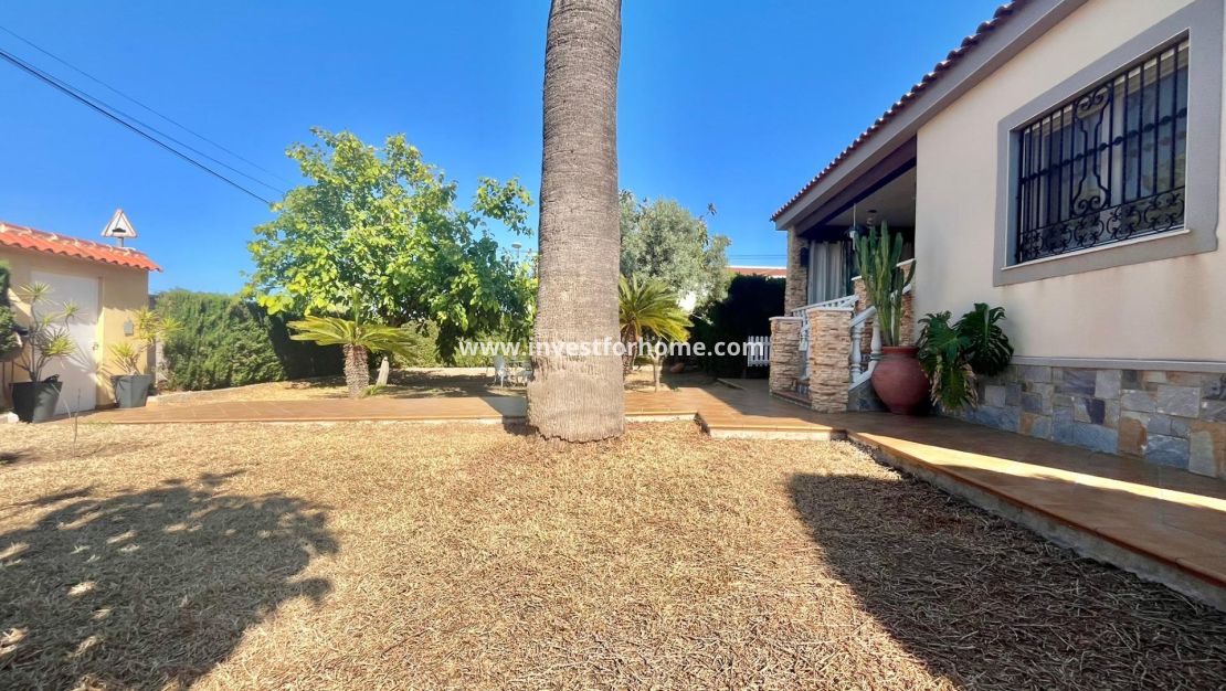 Reventa - Chalet - Torrevieja - Los Balcones - Los Altos Del Edén