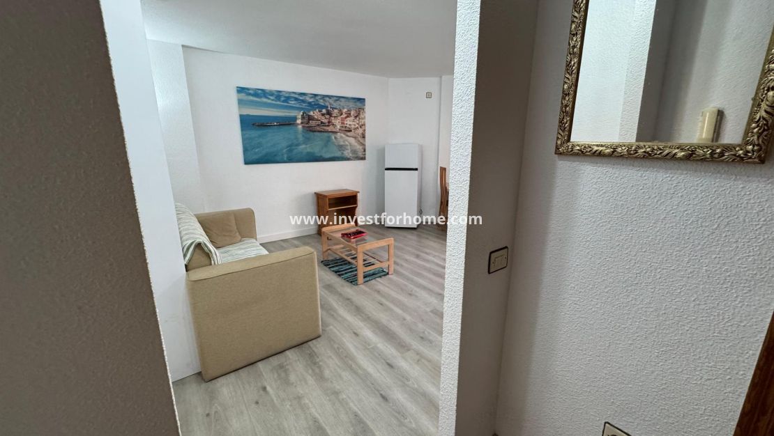 Reventa - Estudio - Torrevieja - Playa de Los Locos-Curva del Palangre