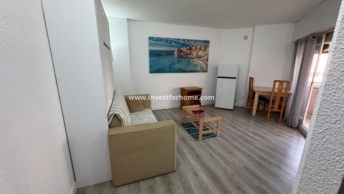 Reventa - Estudio - Torrevieja - Playa de Los Locos-Curva del Palangre