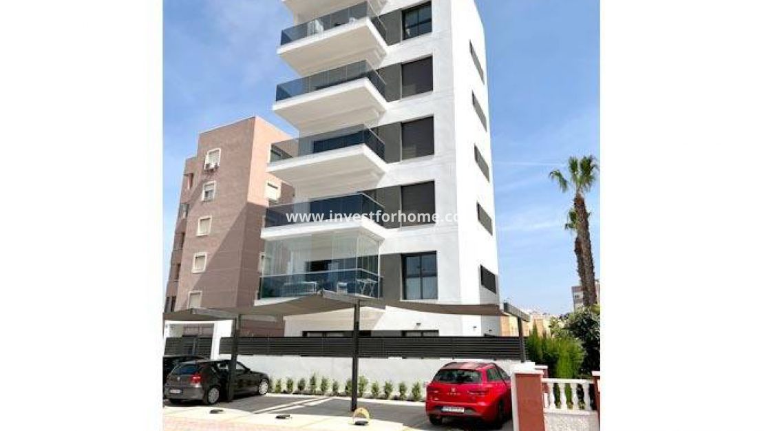 Reventa - Penthouse - Torrevieja - Torrelamata - La Mata