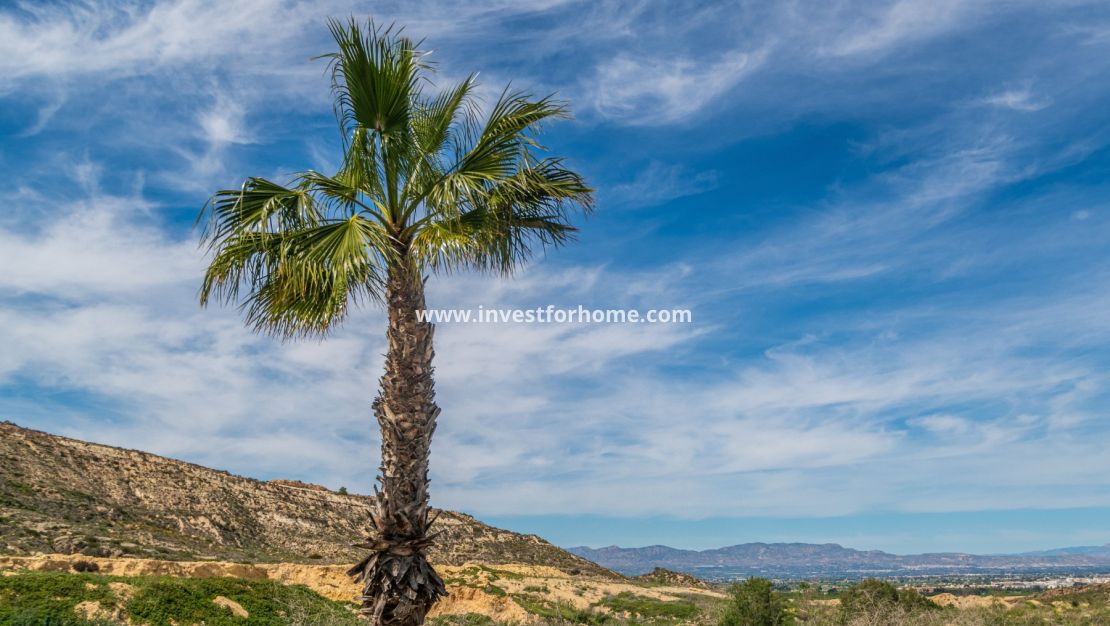 Sale - Apartment - Algorfa - Inland