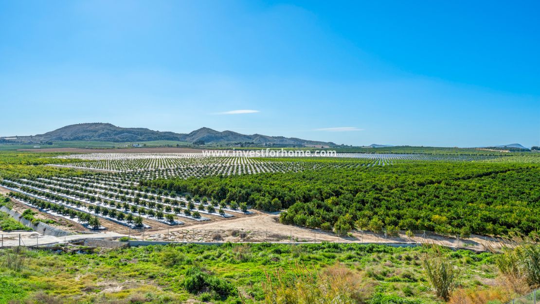 Sale - Apartment - Algorfa - Inland