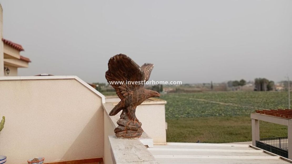 Sale - Apartment - Daya vieja - Costa Blanca