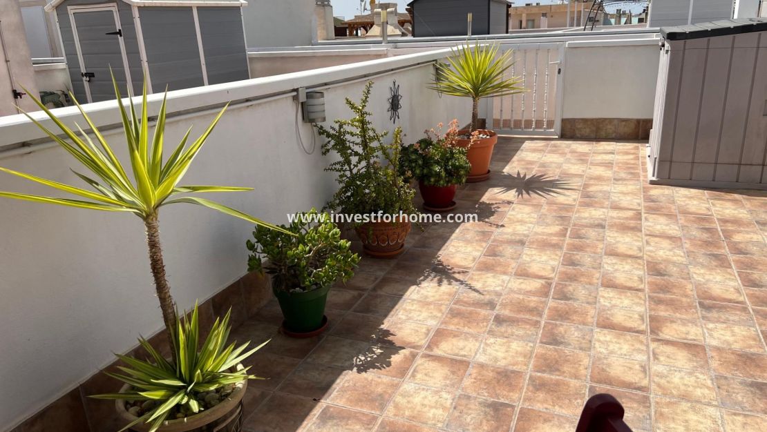Sale - Apartment - Dolores - Comunidad Valenciana