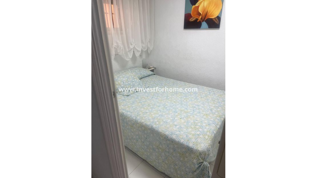 Sale - Apartment - Guardamar del Segura - Centro