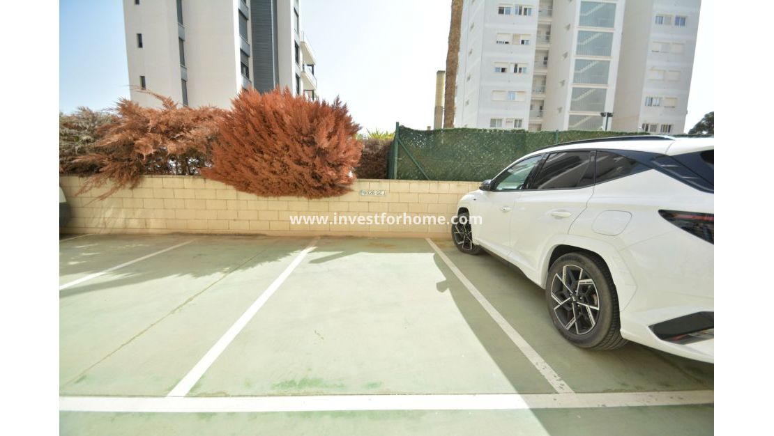 Sale - Apartment - Guardamar del Segura - Costa Blanca