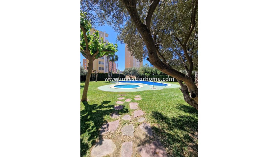 Sale - Apartment - Guardamar del Segura - Costa Blanca