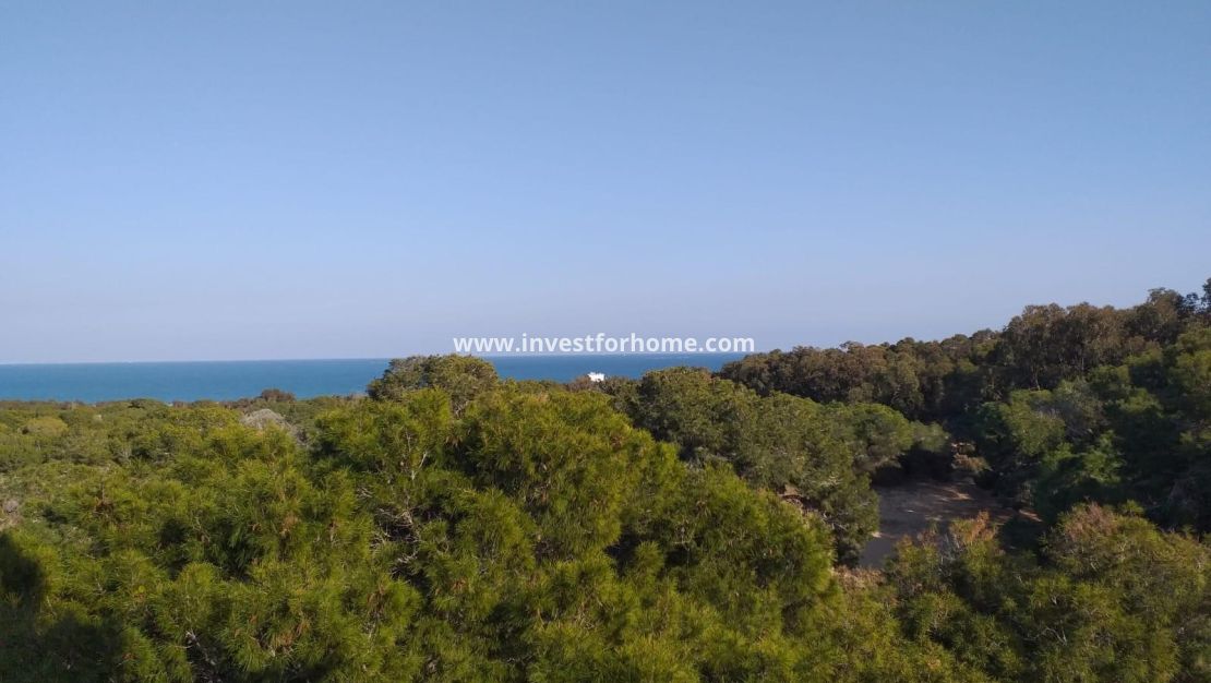 Sale - Apartment - Guardamar del Segura - Costa Blanca