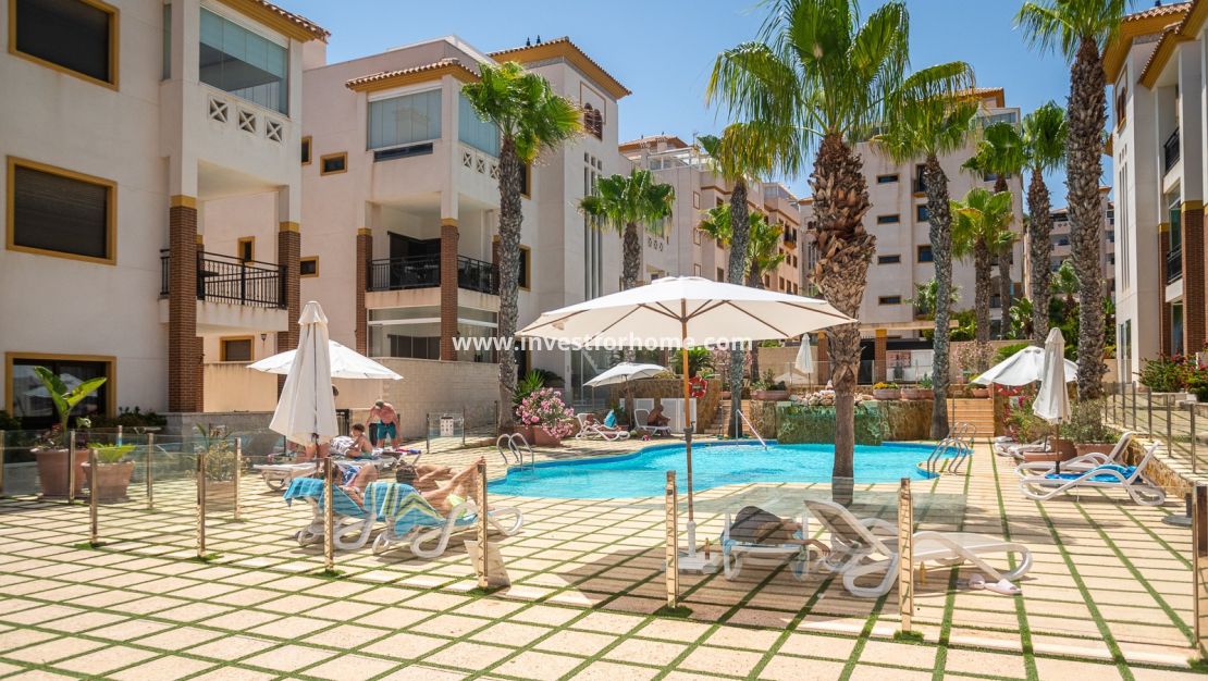 Sale - Apartment - Guardamar del Segura - Costa Blanca