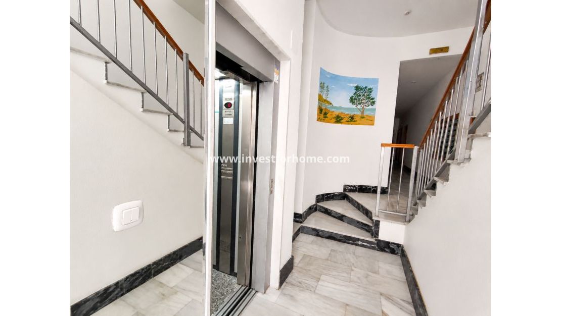 Sale - Apartment - Guardamar del Segura - Costa Blanca