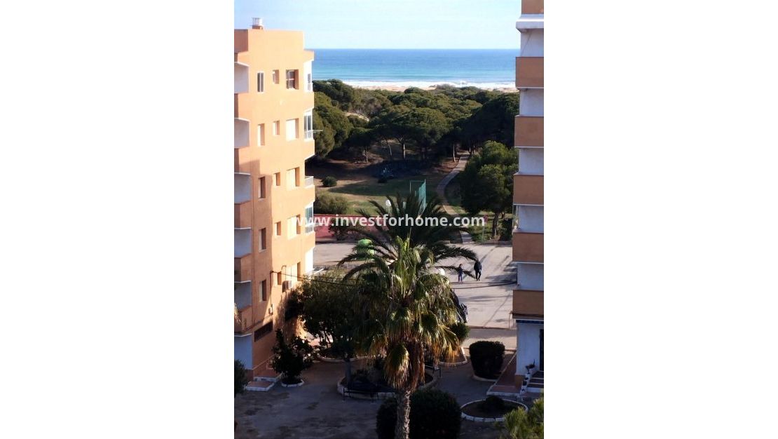 Sale - Apartment - Guardamar del Segura - Pinomar