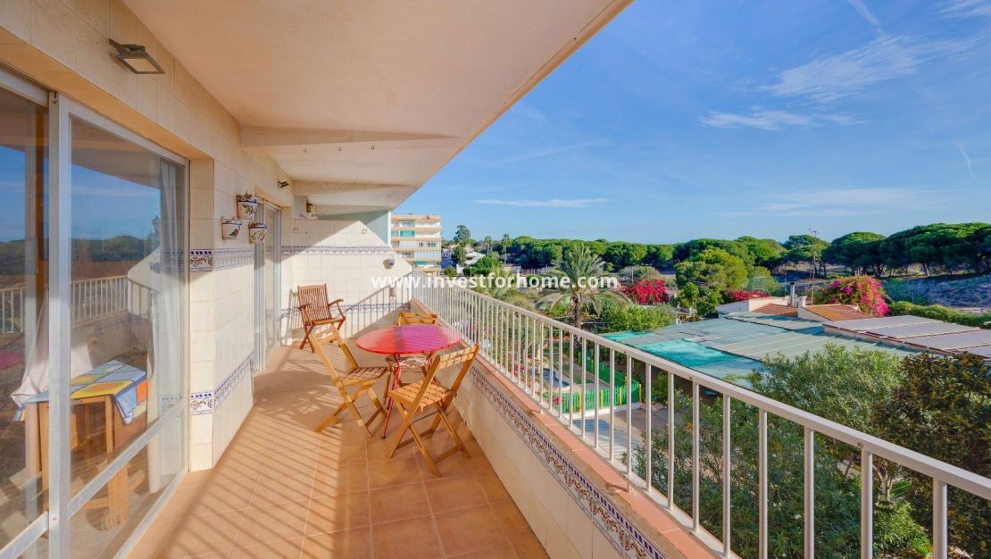 Sale - Apartment - Guardamar del Segura - Pinomar