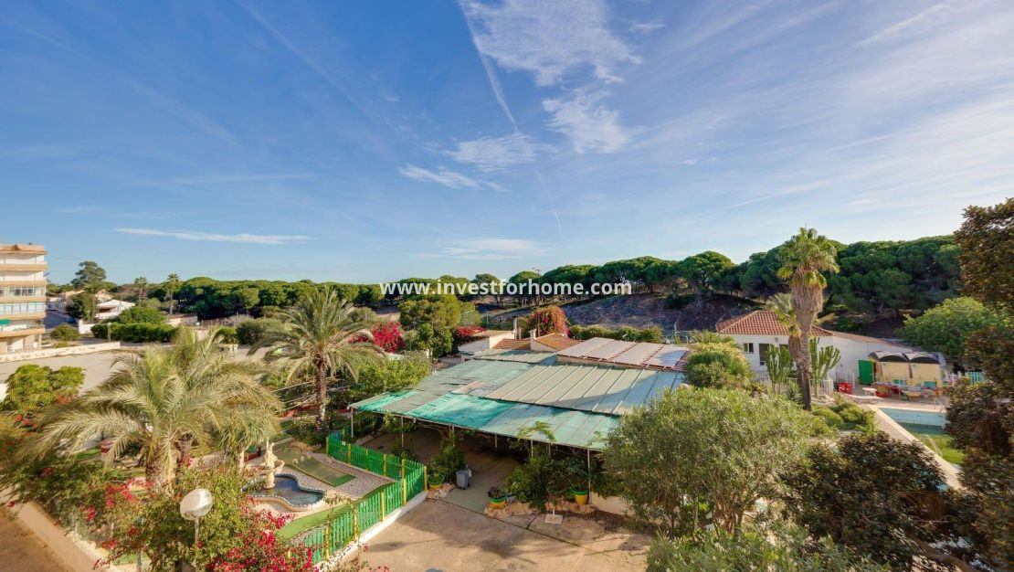 Sale - Apartment - Guardamar del Segura - Pinomar