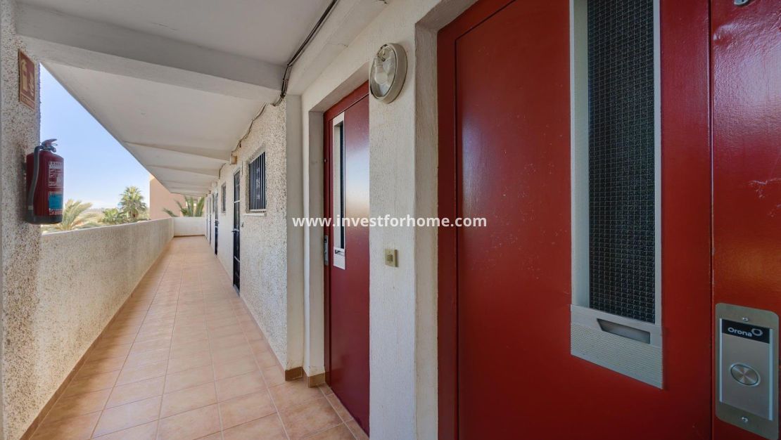 Sale - Apartment - Guardamar del Segura - Pinomar