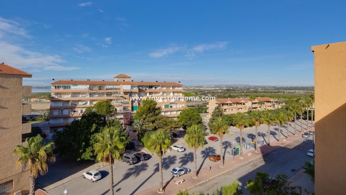 Sale - Apartment - Guardamar del Segura - Pinomar